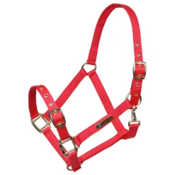 Shires Equestrian ARMA Adjustable Headcollar