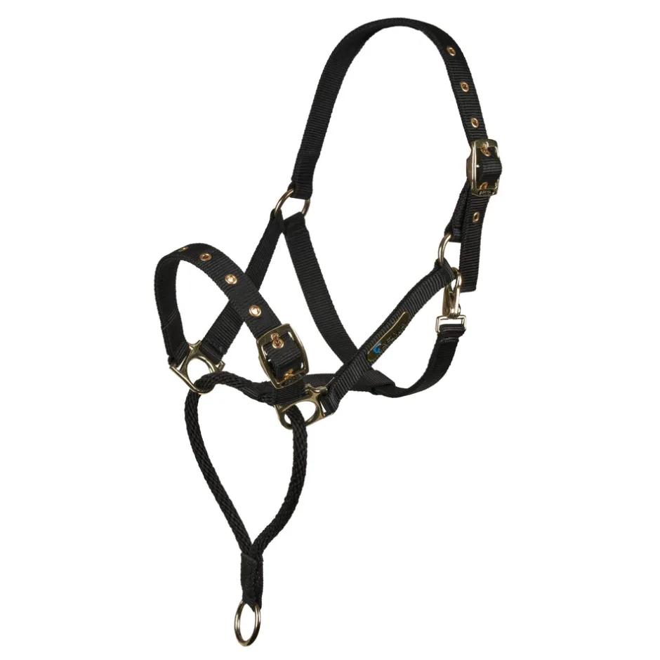 Shires Equestrian ARMA Control Headcollar