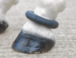 Shires Equestrian ARMA Fetlock Ring