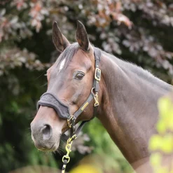 Shires Equestrian ARMA Fleece Headcollar & Lead Rope