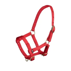 Shires Equestrian ARMA Foal Headcollar