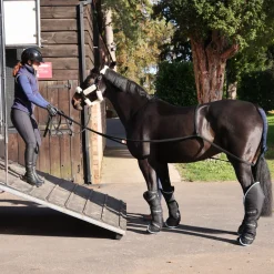 Shires Equestrian ARMA Loading Aid