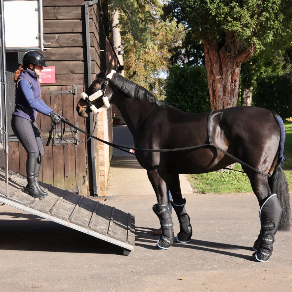Shires Equestrian ARMA Loading Aid