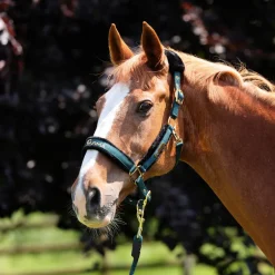 Shires Equestrian ARMA Logo Headcollar & Lead Rope