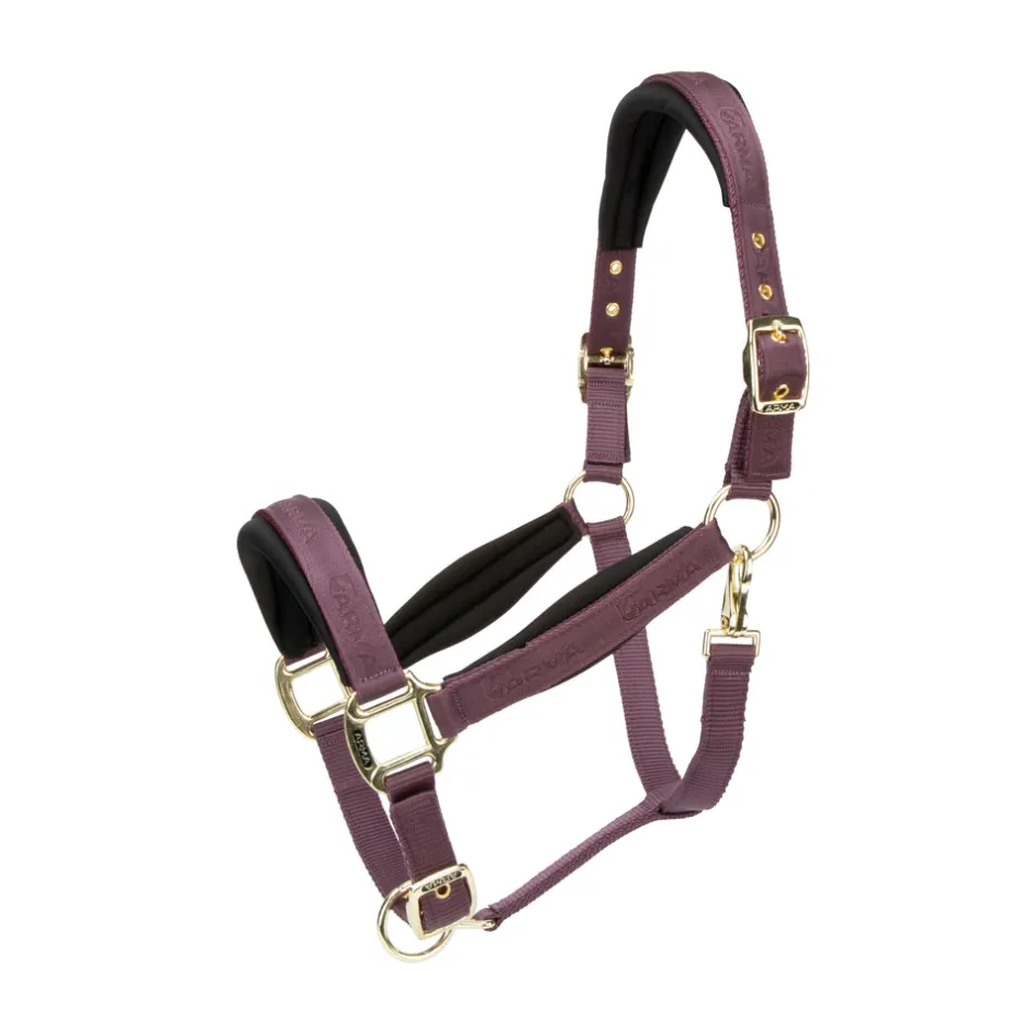 Shires Equestrian ARMA Padded Headcollar