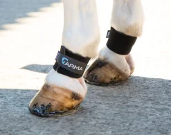 Shires Equestrian ARMA Pastern Wraps