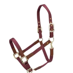 Shires Equestrian ARMA Porto Headcollar