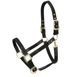 Shires Equestrian ARMA Porto Headcollar