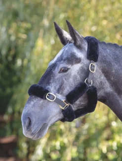 Shires Equestrian ARMA SupaFleece Halter Fleeces