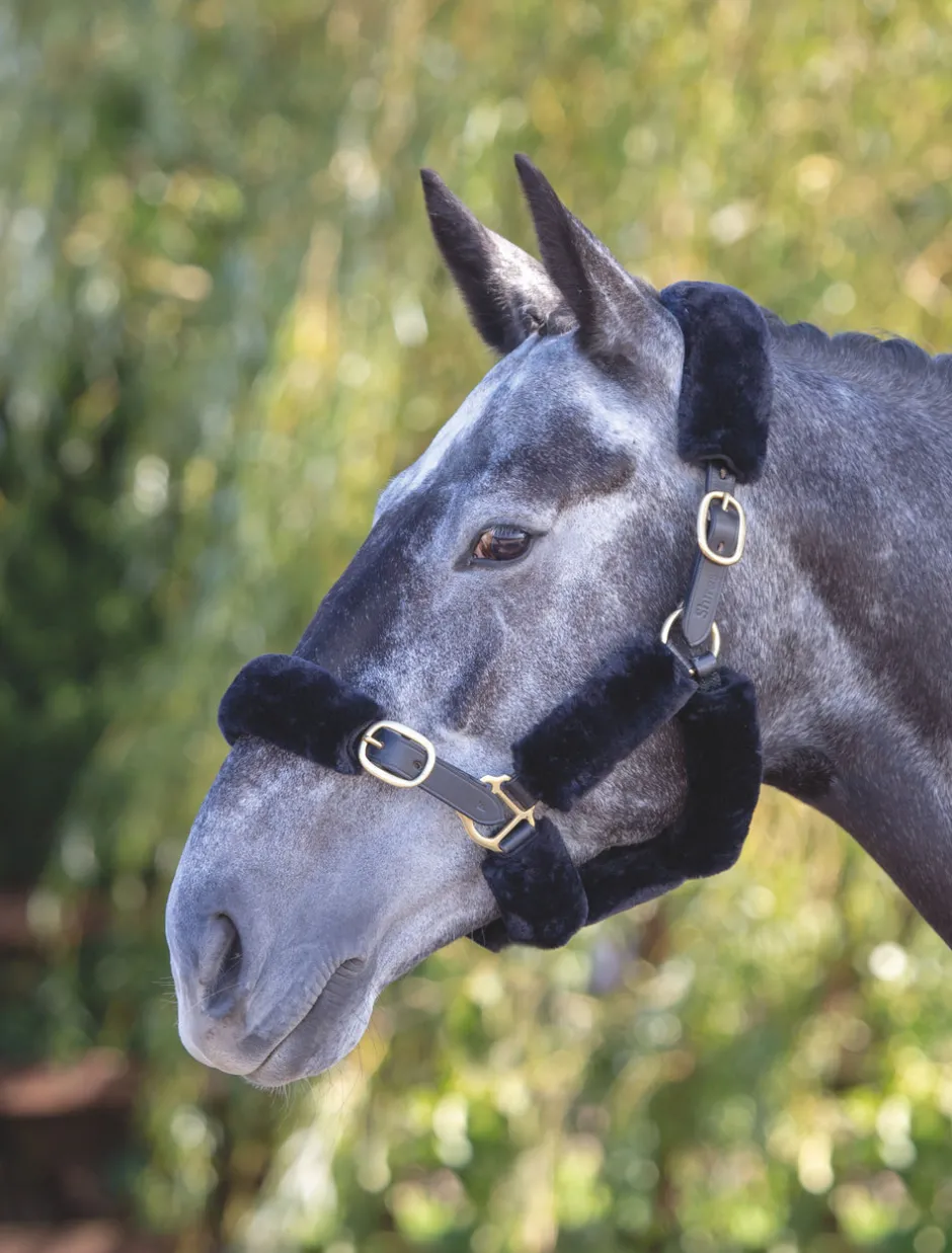 Shires Equestrian ARMA SupaFleece Halter Fleeces