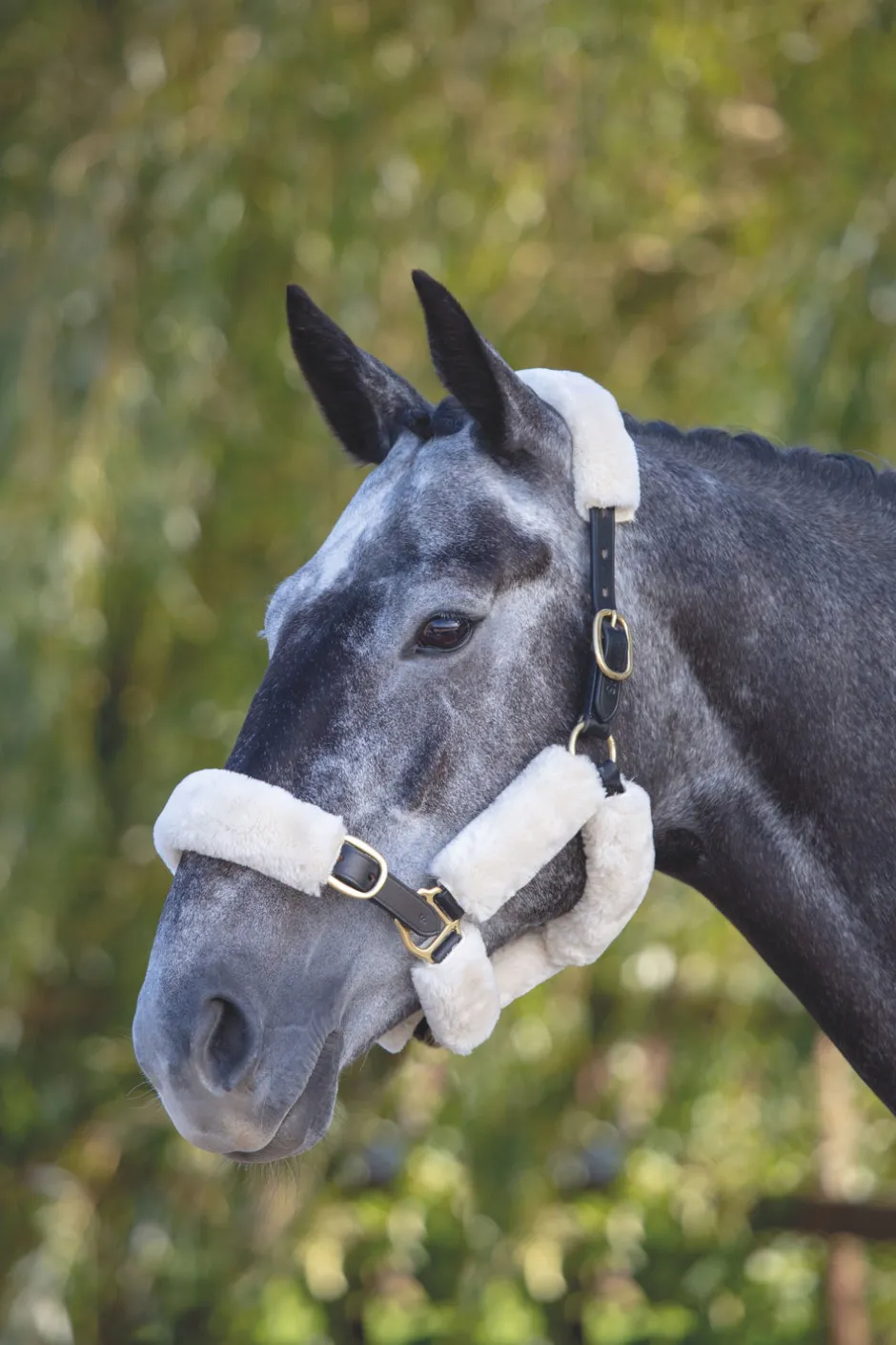 Shires Equestrian ARMA SupaFleece Halter Fleeces
