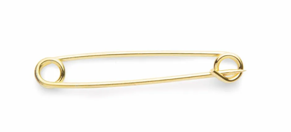 Women Shires Equestrian Aubrion Plain Plated Stock Pin