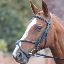 Shires Equestrian Avignon Grackle Bridle