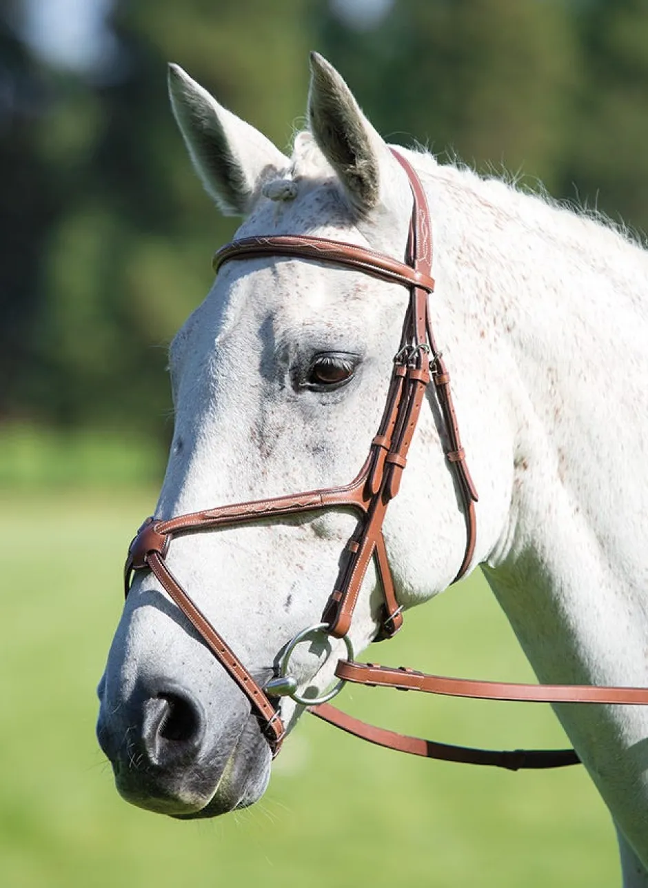 Shires Equestrian Avignon Grackle Bridle
