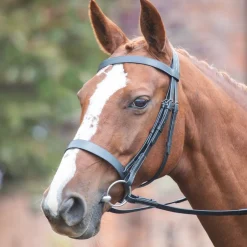 Shires Equestrian Avignon Hunter Cavesson Bridle