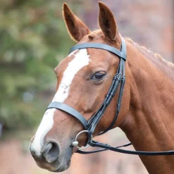 Shires Equestrian Avignon Hunter Cavesson Bridle