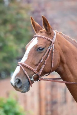 Shires Equestrian Avignon Padded Raised Flash Bridle