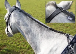 Shires Equestrian Daisy Rein