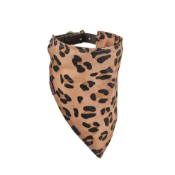 Shires Equestrian Digby & Fox Bandana
