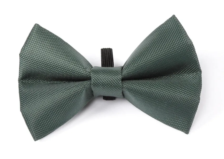 Shires Equestrian Digby & Fox Bow Tie