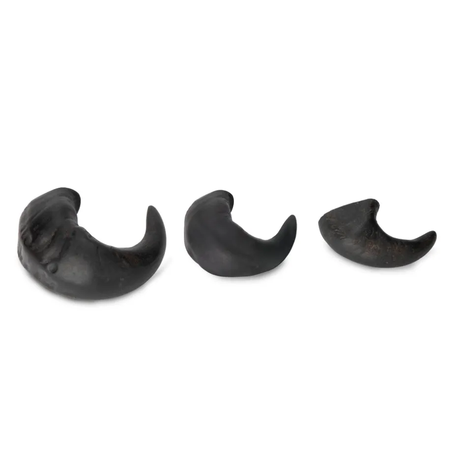 Shires Equestrian Digby & Fox Buffalo Horns