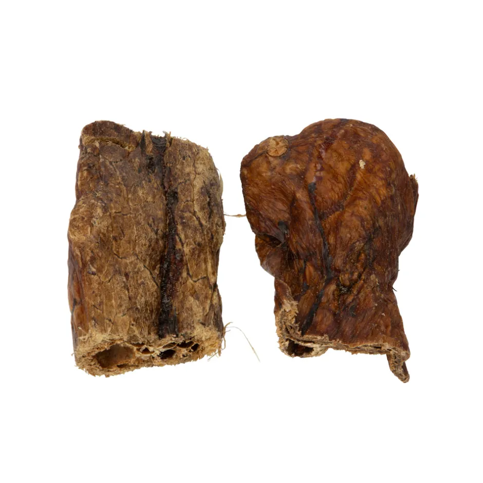 Shires Equestrian Digby & Fox Buffalo Lungs