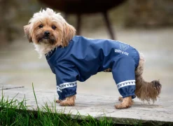 Shires Equestrian Digby & Fox Cover-All Dog Coat