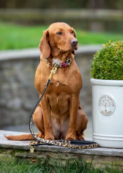 Shires Equestrian Digby & Fox Cow Hair Dog Collar