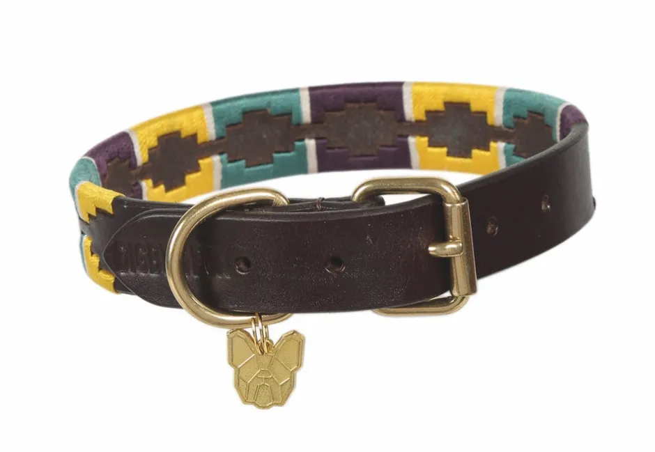 Shires Equestrian Digby & Fox Drover Polo Dog Collar