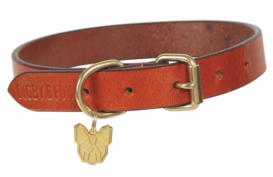 Shires Equestrian Digby & Fox Flat Leather Dog Collar