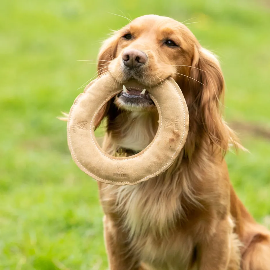 Shires Equestrian Digby & Fox Leather Frisbee Toy