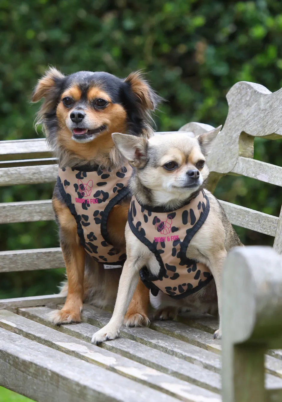 Shires Equestrian Digby & Fox Print Harness