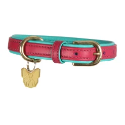 Shires Equestrian Digby & Fox Padded Leather Dog Collar