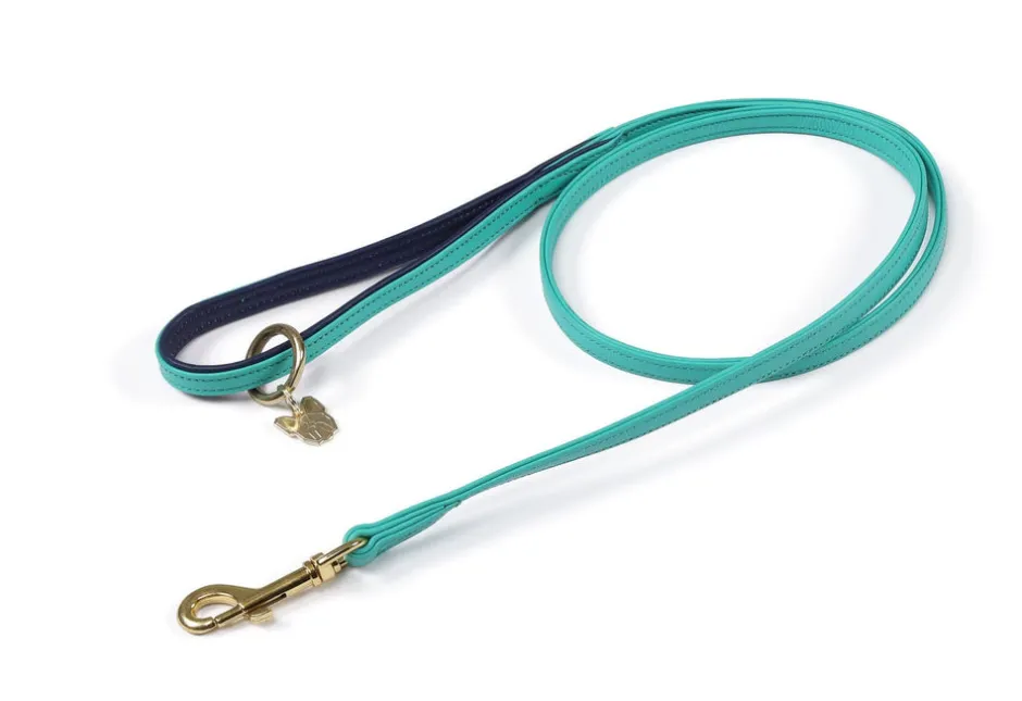 Shires Equestrian Digby & Fox Padded Leather Dog Lead