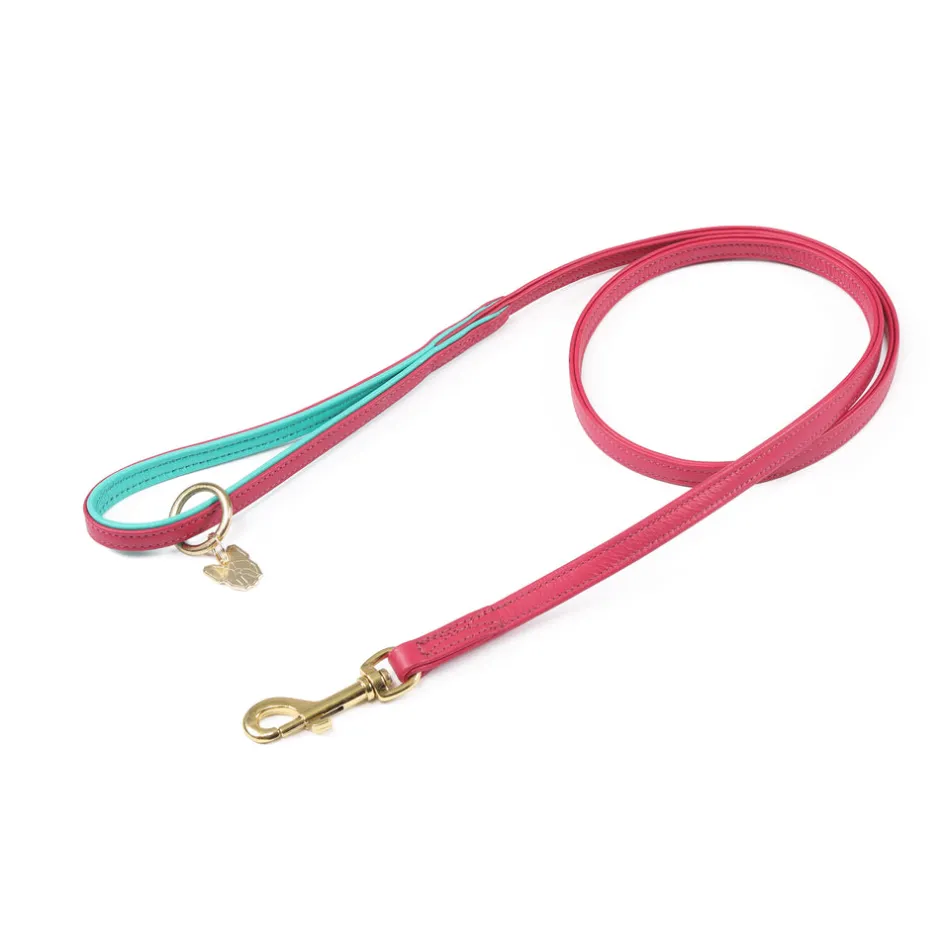 Shires Equestrian Digby & Fox Padded Leather Dog Lead