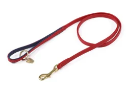 Shires Equestrian Digby & Fox Padded Leather Dog Lead
