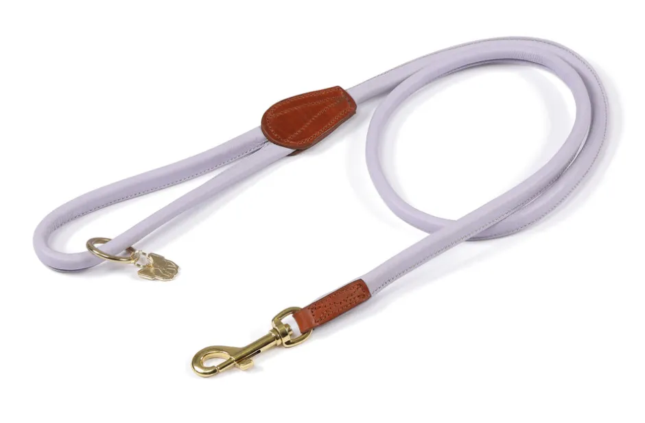 Shires Equestrian Digby & Fox Rolled Leather Dog Lead