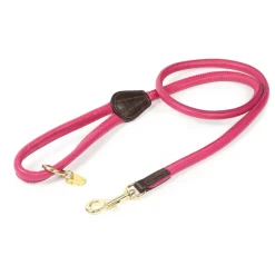 Shires Equestrian Digby & Fox Rolled Leather Dog Lead