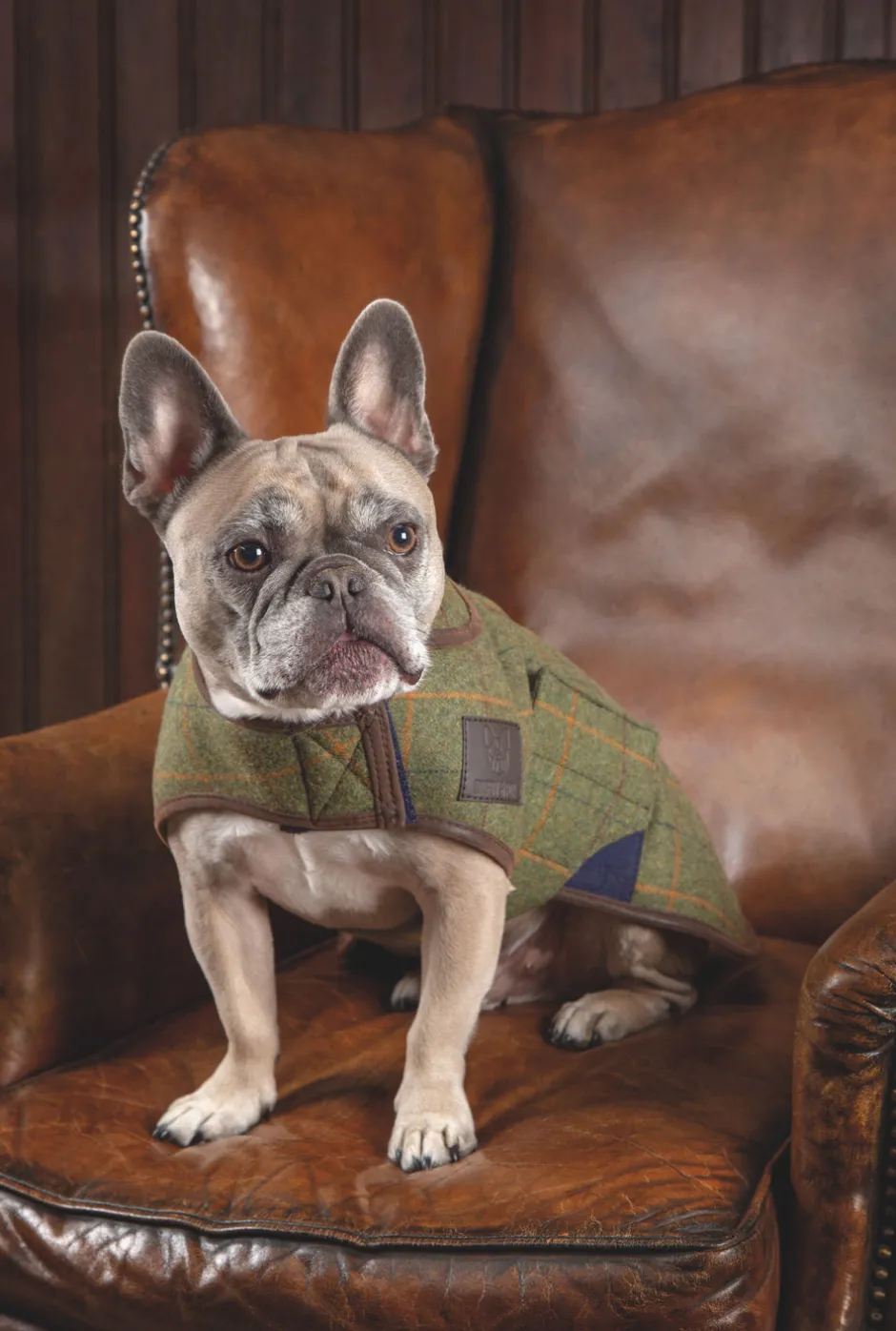 Shires Equestrian Digby & Fox Tweed Dog Coat