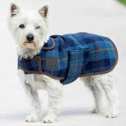 Shires Equestrian Digby & Fox Tweed Dog Coat