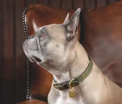 Shires Equestrian Digby & Fox Tweed Dog Collar