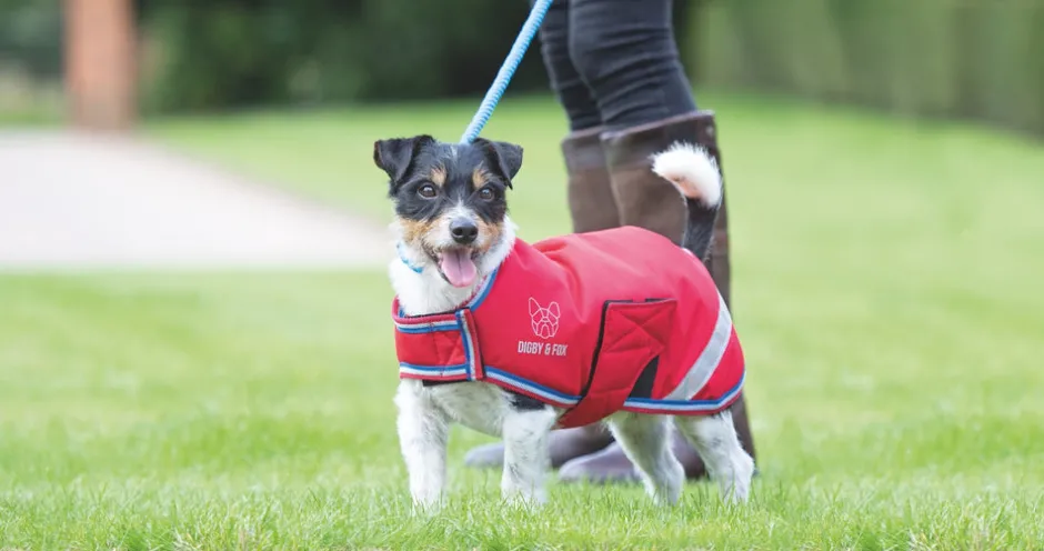 Shires Equestrian Digby & Fox Waterproof Dog Coat