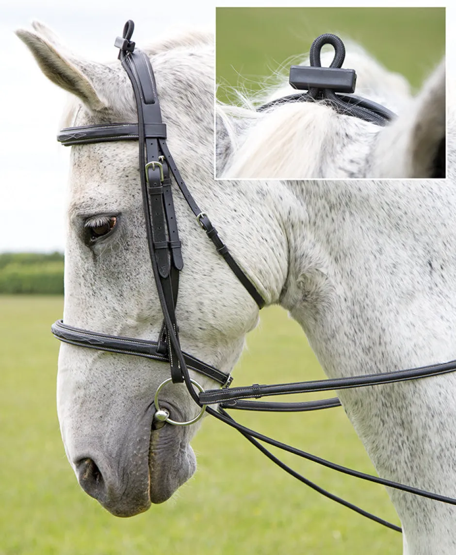 Shires Equestrian Elastic Training Reins