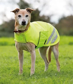 Shires Equestrian EQUI-FLECTOR Dog Coat