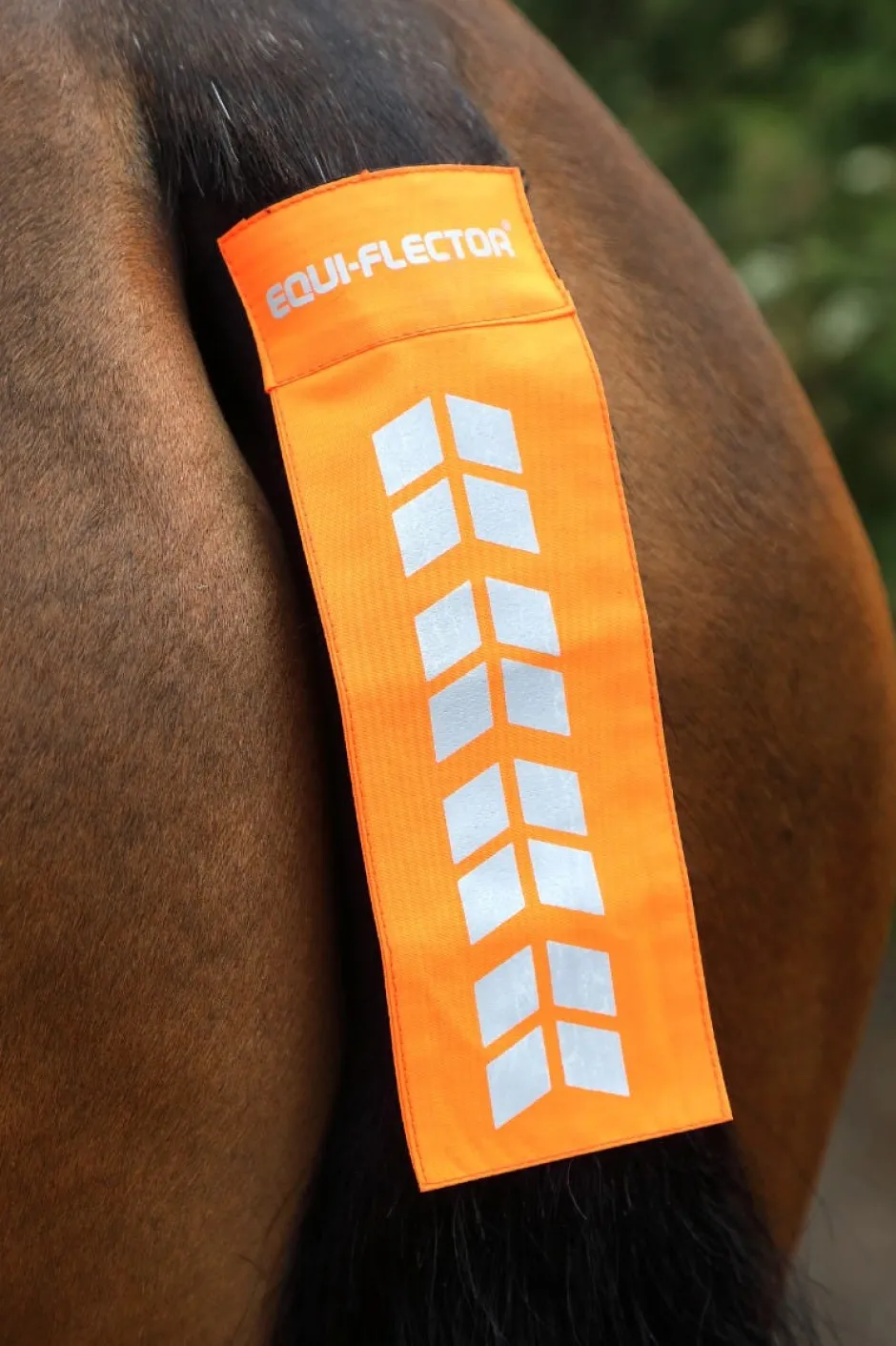 Shires Equestrian EQUI-FLECTOR® Tail Strap