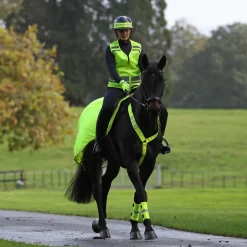 Shires Equestrian EQUI-FLECTOR® Wraps
