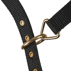 Shires Equestrian Fleece Lined Lunge Cavesson