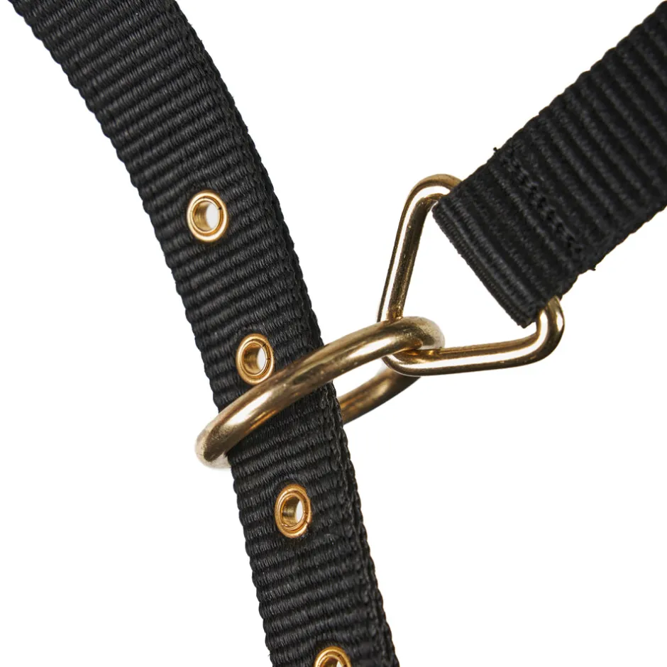 Shires Equestrian Fleece Lined Lunge Cavesson