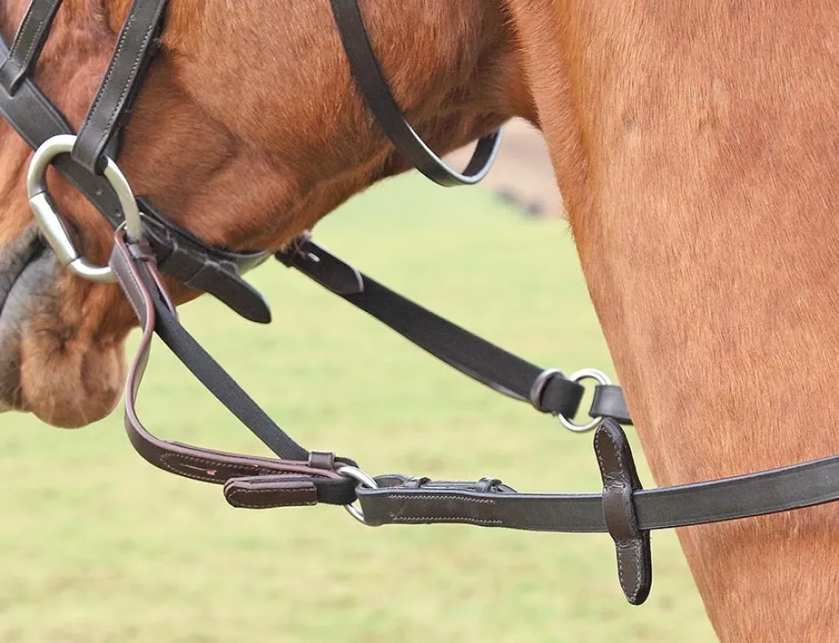 Shires Equestrian Flexi Rein®