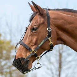 Shires Equestrian Greenguard Muzzle